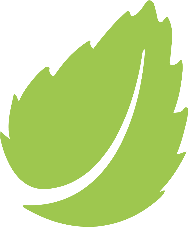 Press / News Disposable Wooden Cutlery And Plates - Press / News Disposable Wooden Cutlery And Plates (1000x1000)