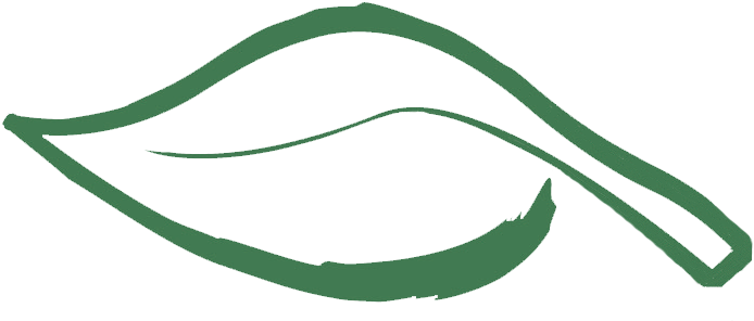 Eco Montana Logo - Drawing (817x401)