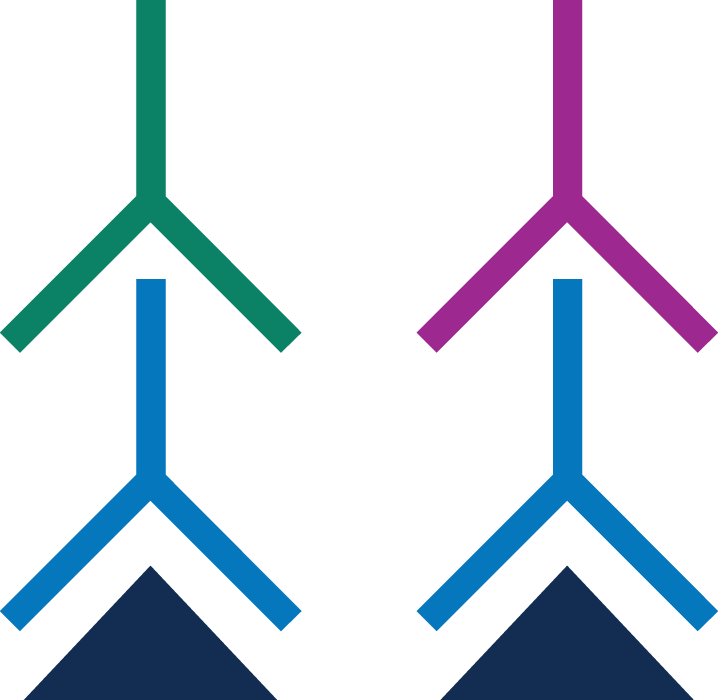 Incubate With Near-infrared Fluorescent Secondary Antibodies - Incubate With Near-infrared Fluorescent Secondary Antibodies (718x700)