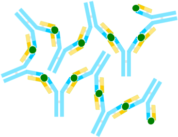 Antibody Png - Antigen Antibody Png (395x307)