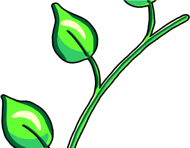 Leaves Clipart Three Leave - Leaves Clipart Three Leave (640x480)