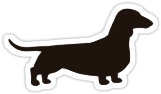 Drawings Of Dachshunds - Wire Haired Dachshund Outline (375x360)