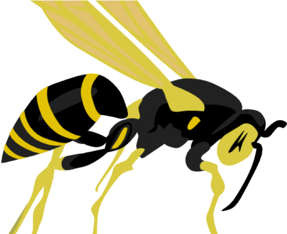 Wasp Clipart Hive - Wasp Clip Art (640x480)