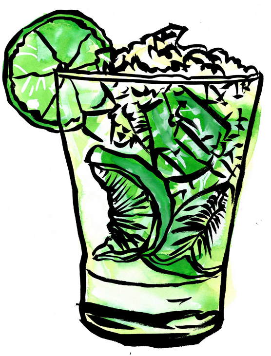 Drinks Recipes - Drinks Recipes (556x731)