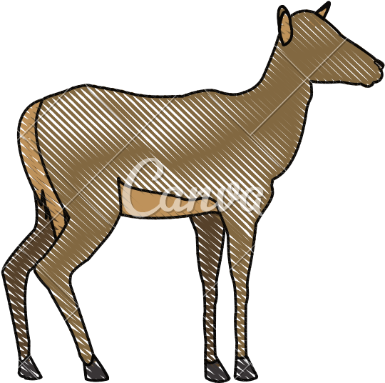 Impala Vector Animal - Dekovy Strih Kona (800x800)