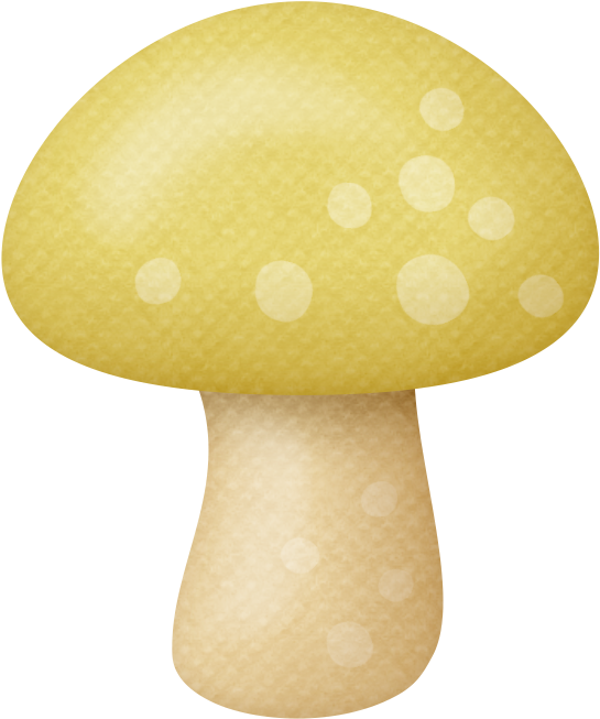 ‿✿⁀shrooms‿✿⁀ - Shiitake (588x687)