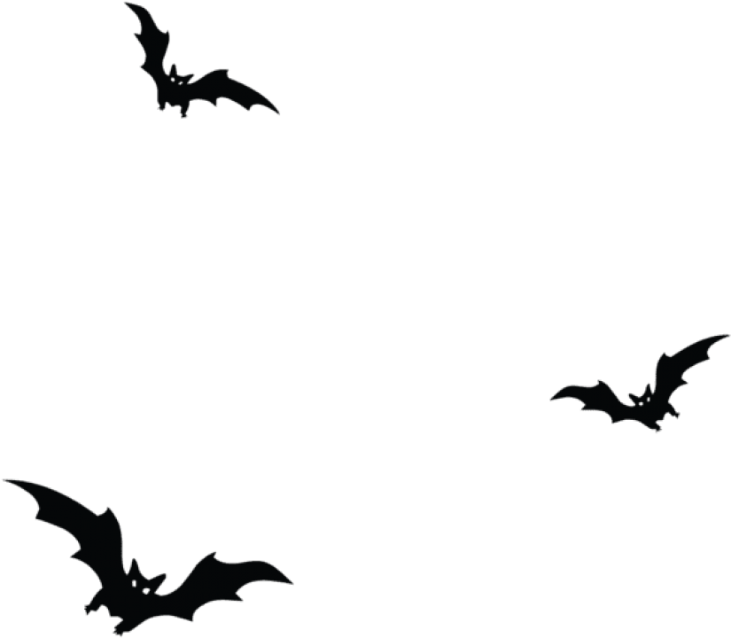 Free Png Download Haunted Bats Png Vector Png Images - Bats Png (850x750)