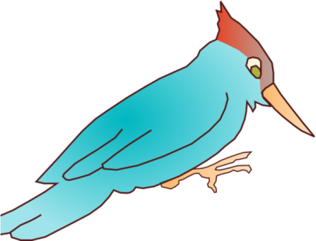 Woodpecker Clipart Foot - Woodpecker Clip Art (640x480)
