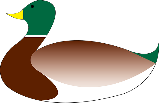 Mallard, Duck, Bird, Waterfowl, Swim - Patos Nadando Png (526x340)