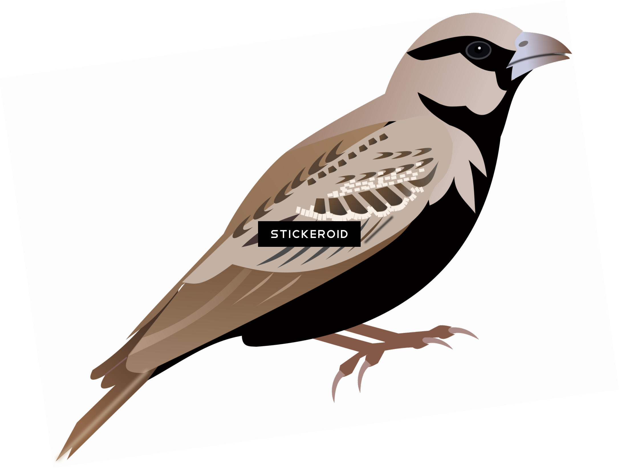 Sparrow Animals - Clip Art (2171x1642)