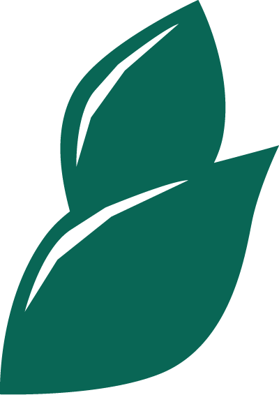 Pili Nuts - Emblem (400x566)