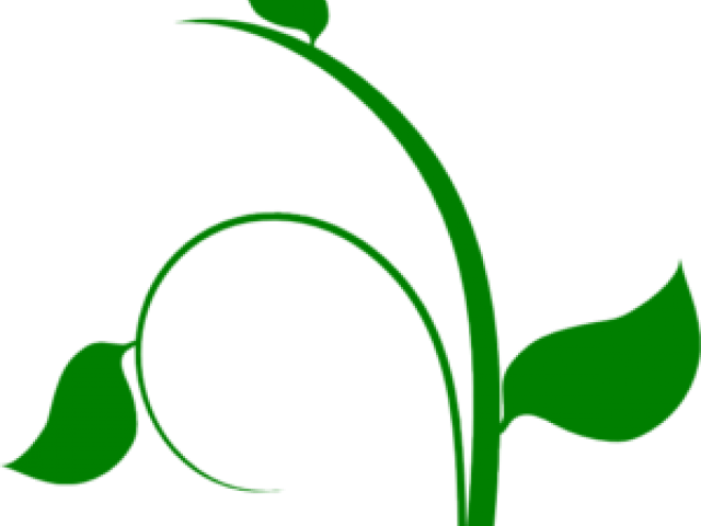 Vine Clipart Pumpkin Vine - Flower Vine Clip Art (640x480)