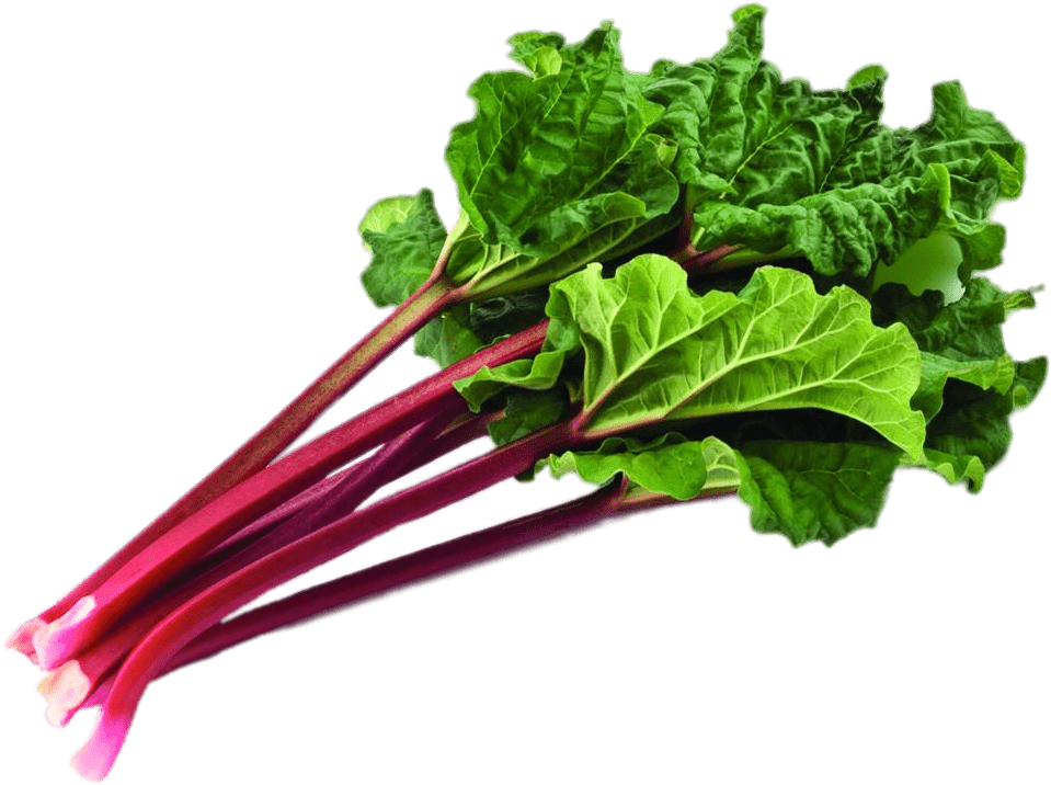 Bundle Of Rhubarb With Leaves - Rhubarb Png Transparent (1000x1000)