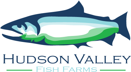Logo Design By Angler Designs For This Project - Tall Oak (566x328)