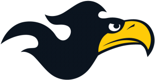 Firey Bird Logo Sign, Fire, Flame, Bird Png And Vector - Accipitriformes (360x360)