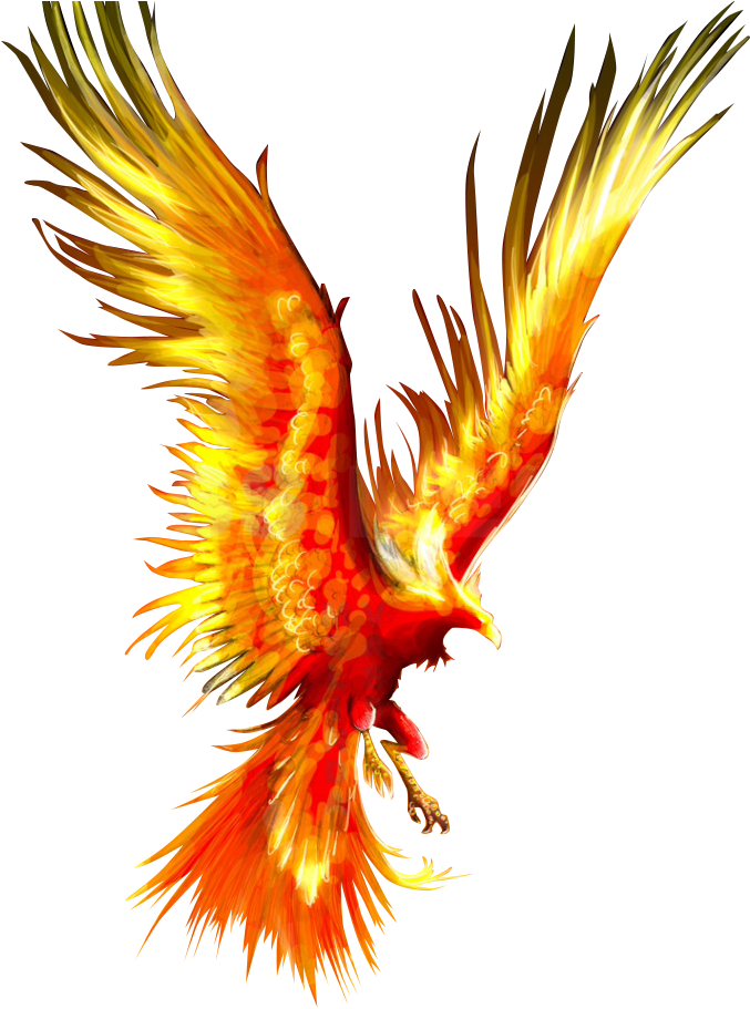 Phoenix Clipart Firebird - Phoenix Bird Transparent Background (722x1000)