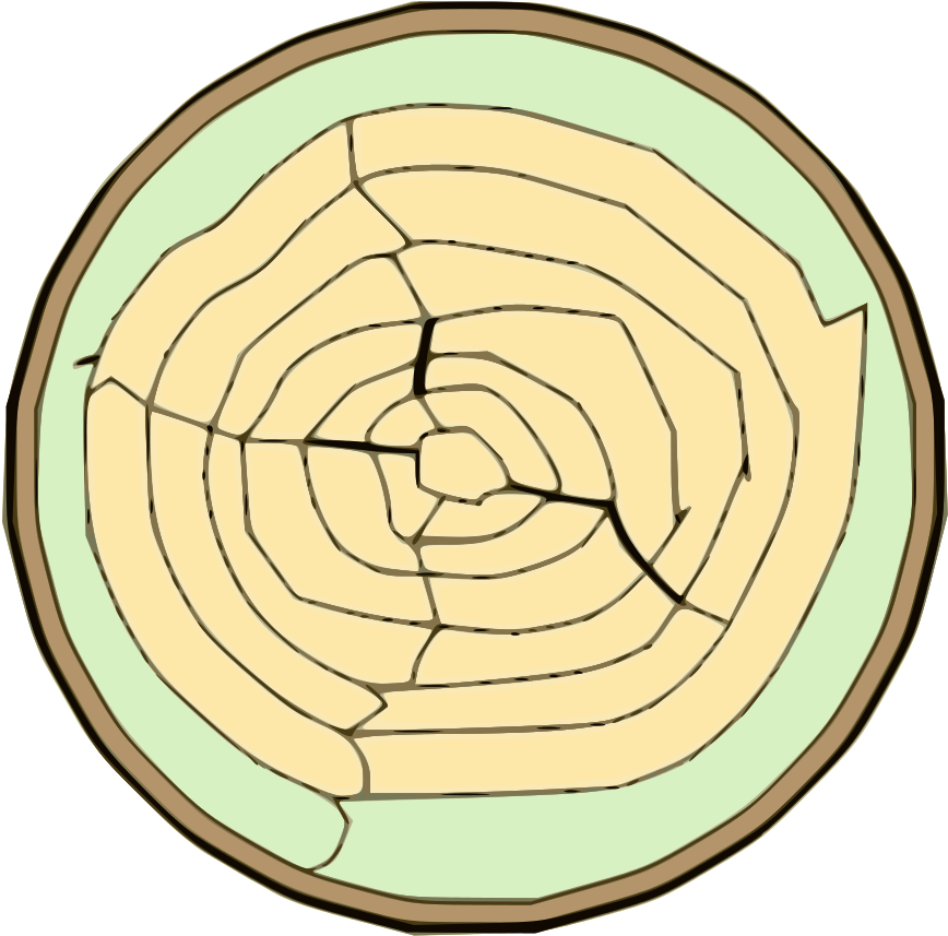 Open - Buchs Holz (1000x936)