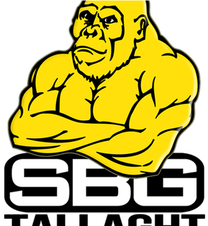 Office To Let, Treatment Unit At Sbg Tallaght, Tallaght, - Straight Blast Gym Logo (600x450)