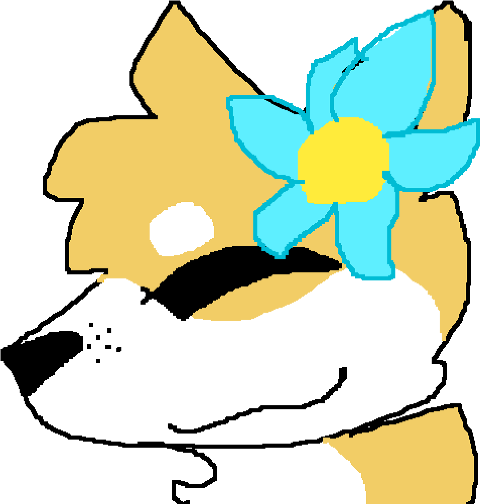 Tsubaki The Shiba Inu - Tsubaki The Shiba Inu (1000x1000)