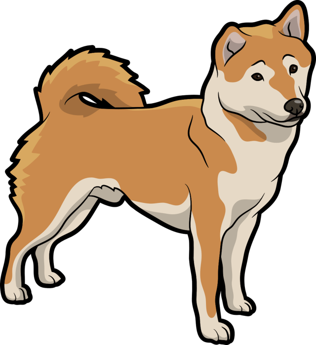 "we Booked Chelsie For A 121 Training Session For Our - Shiba Inu Clip Art (640x699)