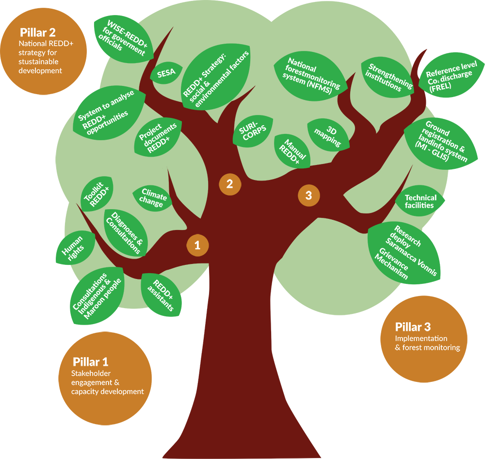 Clipart Forest Deforestation - Tree (1000x946)