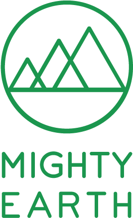 Antwerp, Belgium For The First Time, Belgium Has Called - Mighty Earth Logo (300x450)