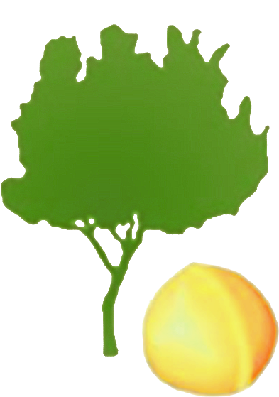 Building Smallholder Communities For Food Security - Tree (533x584)