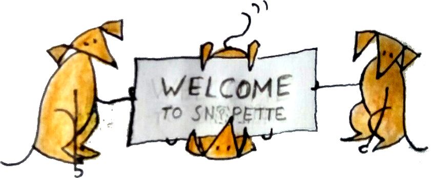Introducing Snipette - Cartoon (843x347)