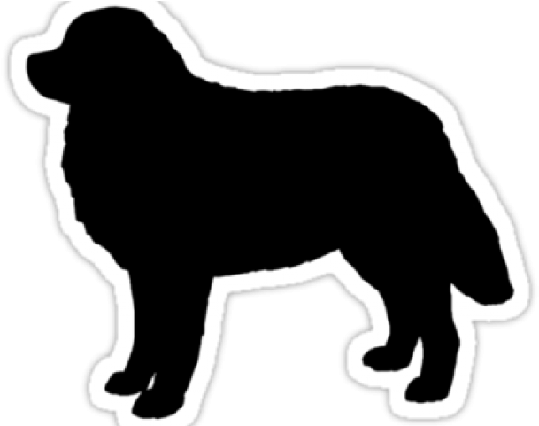 Bernese Mountain Dog Clipart Silhouette - Bernese Mountain Dog Silhouette Free (640x480)