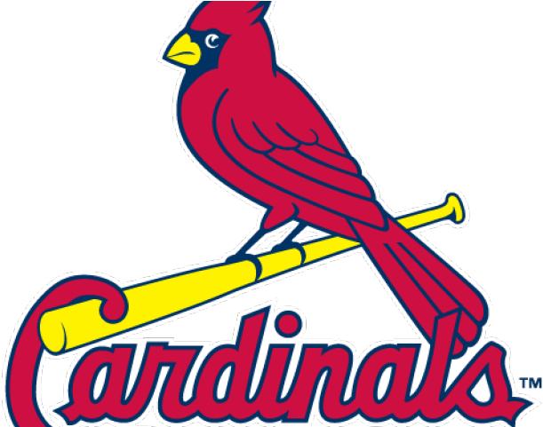 Cardinal Clipart Cardinals Baseball - St Louis Cardinals Png (640x480)