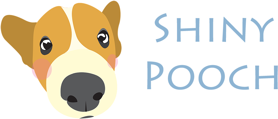 Shiny Pooch Shiny Pooch - Puppy (1000x390)