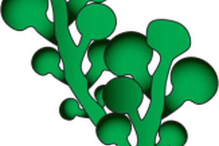 Download Wallpaper Full Wallpapers The World Widest - Sea Weeds Clipart (450x300)