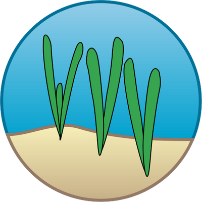 Sea Grass Clipart Kelp - Seagrass Symbol (400x400)