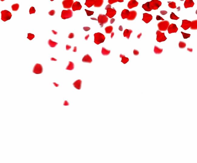Falling Rose Petals Png Clipart - Png Images Of Rose Petals (650x538)