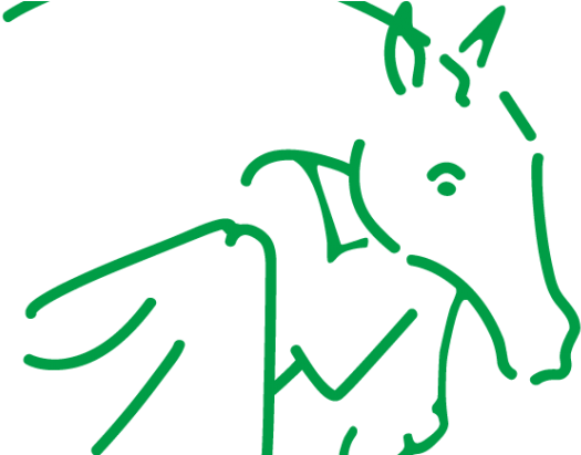 Equestrian Bahamas And Princeton Equestrian League - Equestrian Bahamas And Princeton Equestrian League (750x410)