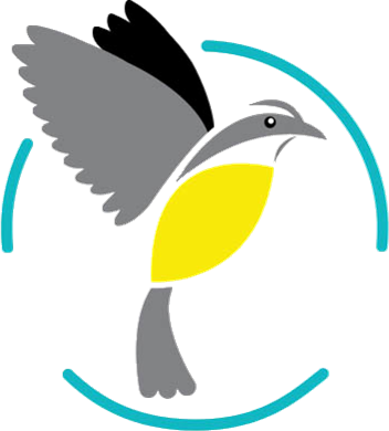 Picture - Birds Caribbean (352x390)