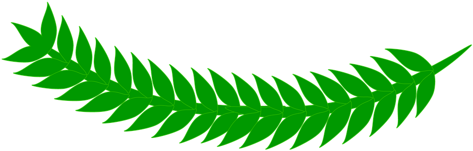 Leaf Grass Green - Yaprak Png (960x540)