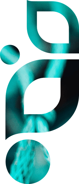 Bahamas Petals - Graphic Design (256x593)