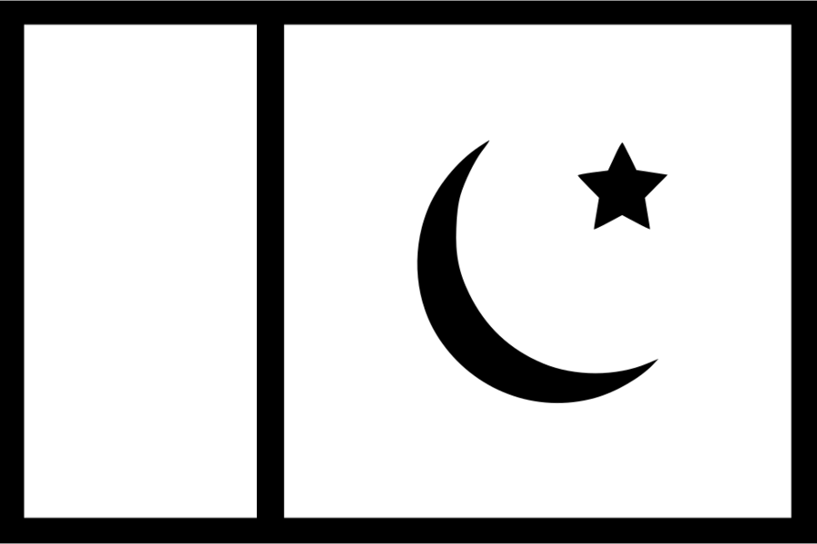 Pakistan Flag Black And White Clipart Flag Of Pakistan - Pakistan Flag Black And White (900x599)