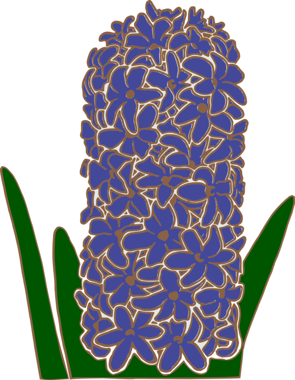 Hyacinth Computer Icons Flowering Plant Plants Download - Hyacinth Computer Icons Flowering Plant Plants Download (582x750)