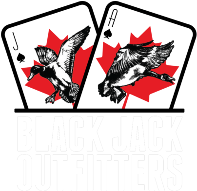 Black Jack Outfitters - Black Jack Outfitters (512x512)