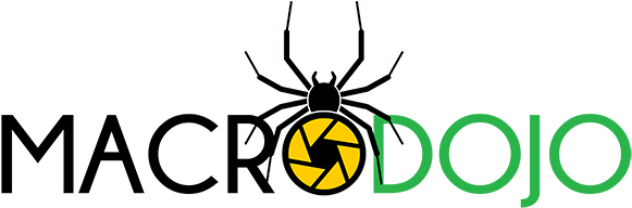 Children Round Mini School Backpack For Kids - Children Round Mini School Backpack For Kids (636x200)