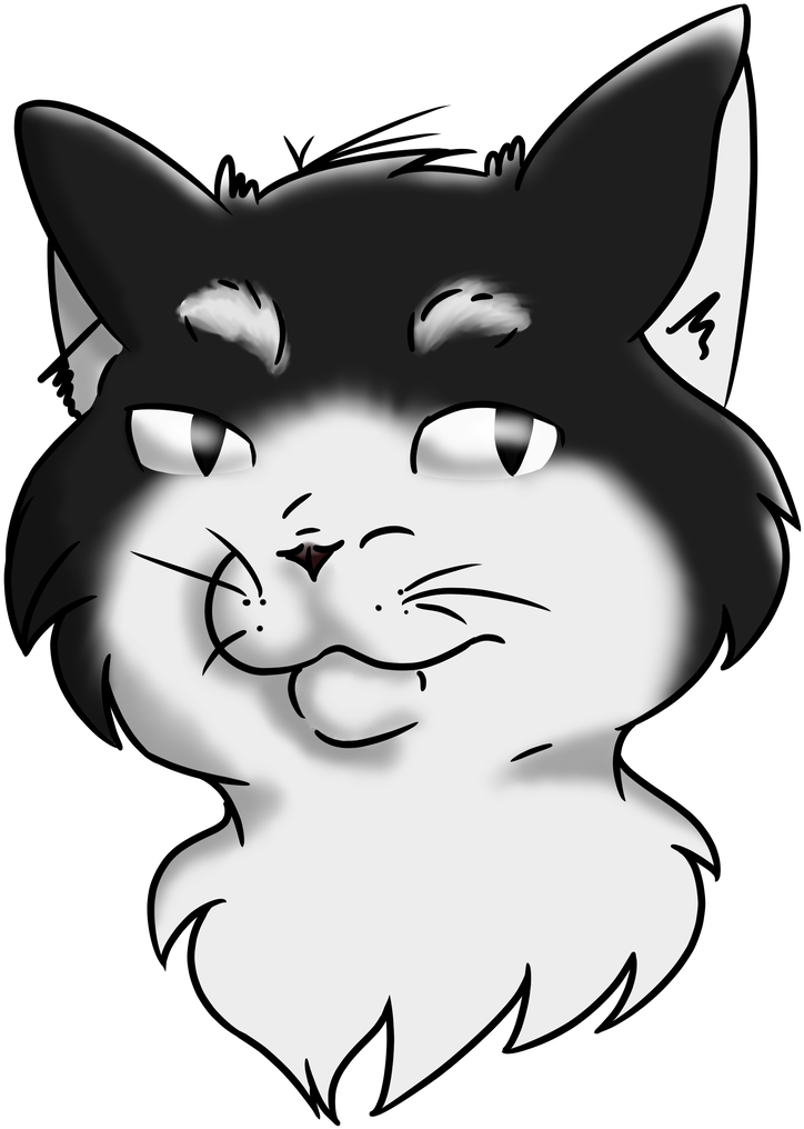 Tuxedo Cat At Aviangalactic On Deviantart Png Tuxedo - Cartoon (769x1039)