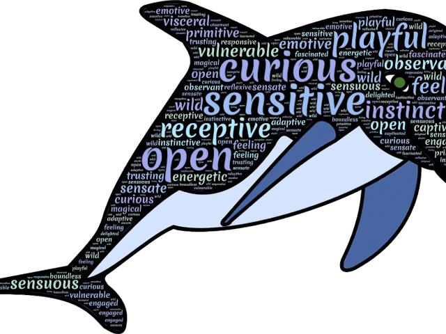 Dolphines Clipart Dolphin Diving - Dolphin Typography (640x480)