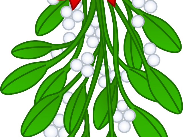 Mistletoe Cliparts - Hanging Mistletoe Transparent Background (640x480)