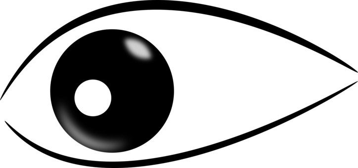 Human Eye Iris Pupil Visual Perception - Shark Eyes Clip Art (723x340)