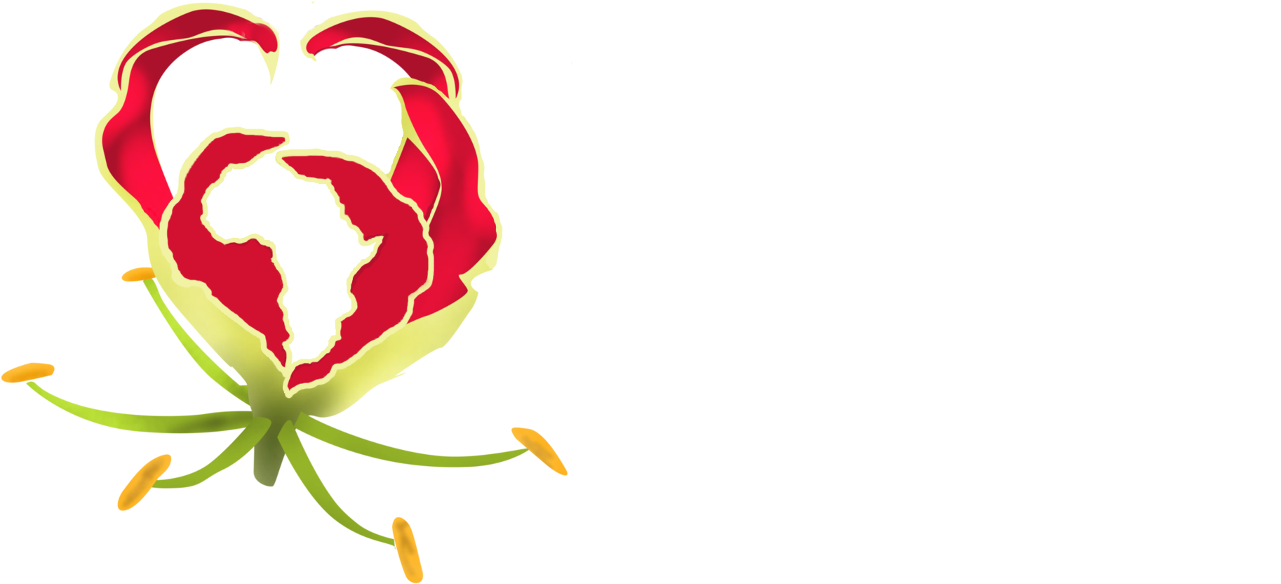 Amazing African Holidays - Amazing African Holidays (2005x917)