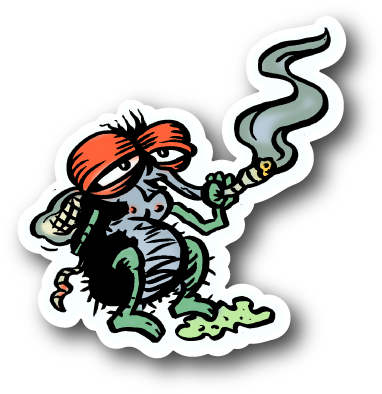 Fly Smoking Weed Sticker - Cannabis (600x600)