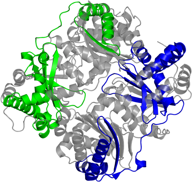 <div Class='caption-body'>2 Copies Of Pfam Domain - Graphic Design (800x800)