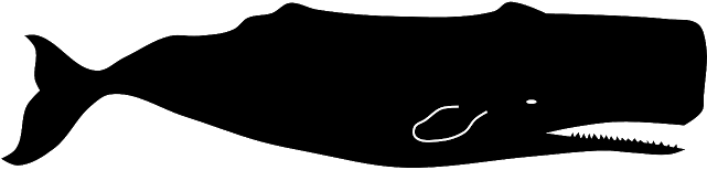 The Real Story - Sperm Whale Silhouette (640x320)